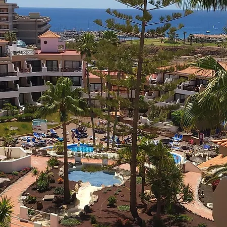 Golf Del Sur Albatros Park Piscina Climatizada Fast Wifi Hotel *