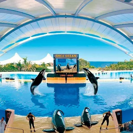 Golf Del Sur Albatros Park Piscina Climatizada Fast Wifi Szálloda
